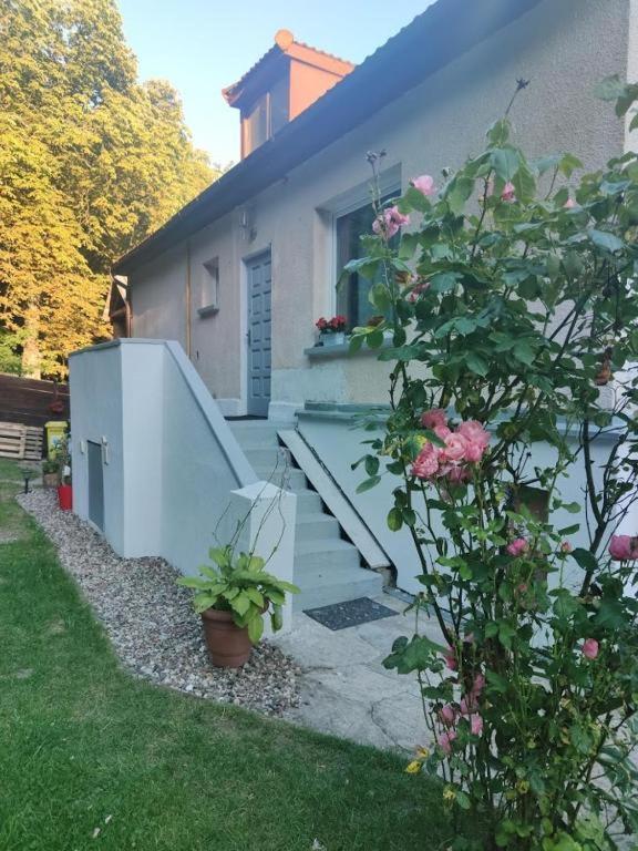 Przytulny Pokoj W Zacisznej Okolicy Z Lazienka Wspolna Dla Dwoch Pokoi Sopot Luaran gambar
